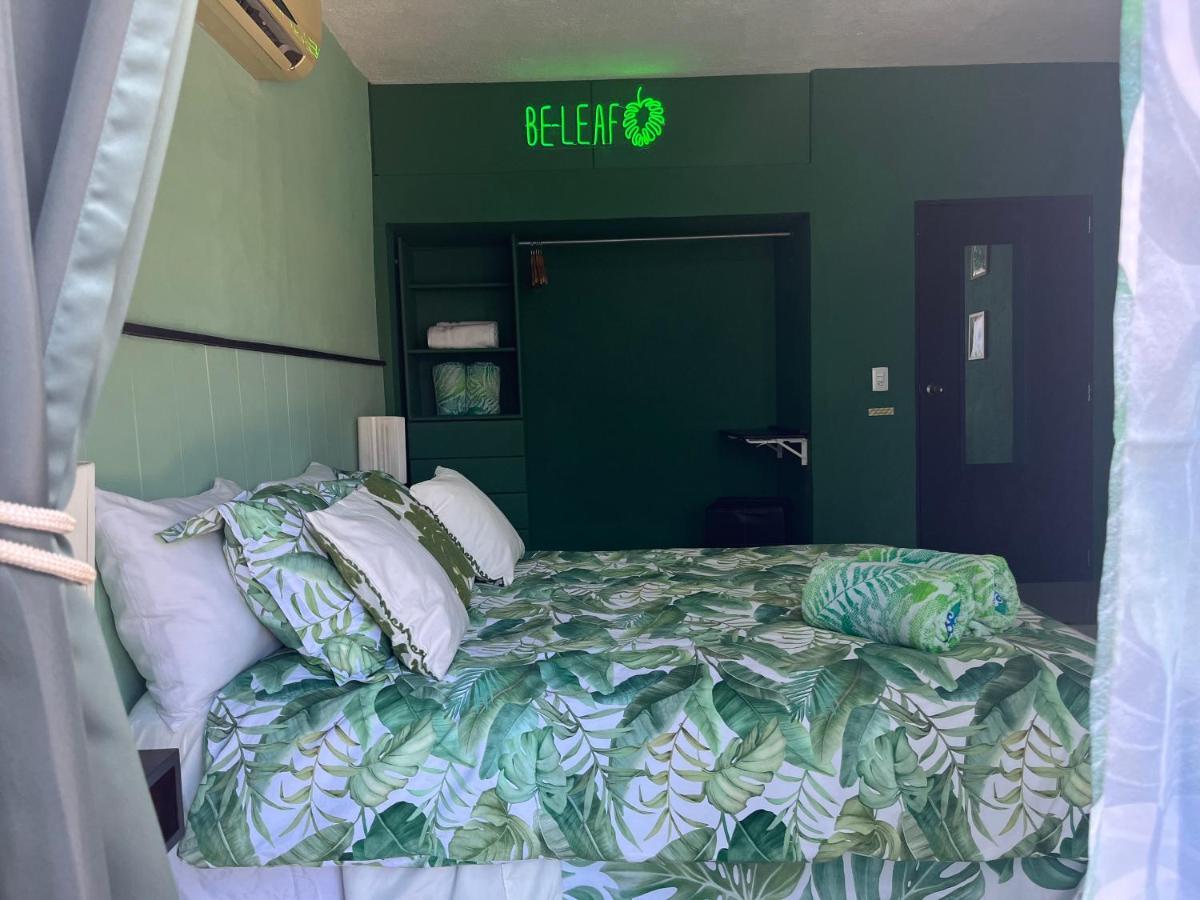 Dici Co-Living Housing Cabo San Lucas B&B 외부 사진