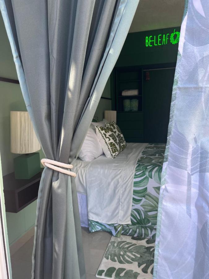Dici Co-Living Housing Cabo San Lucas B&B 외부 사진