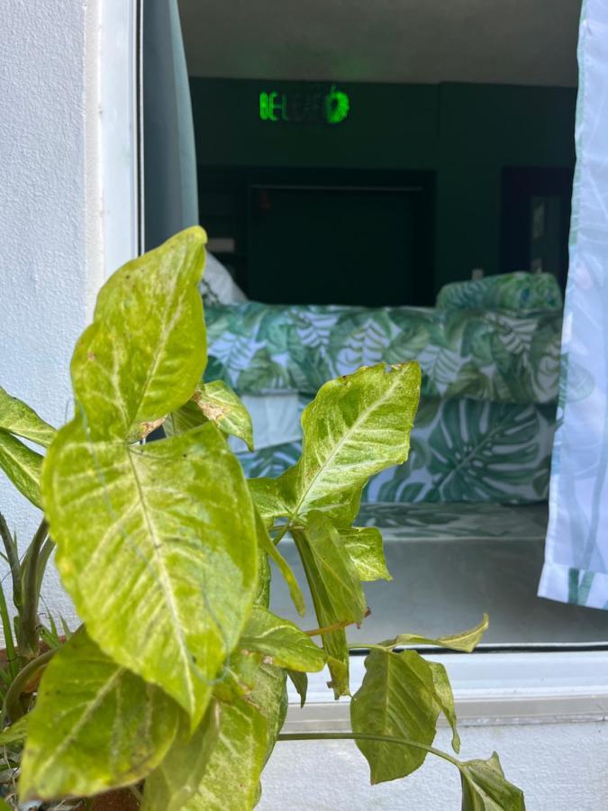 Dici Co-Living Housing Cabo San Lucas B&B 외부 사진