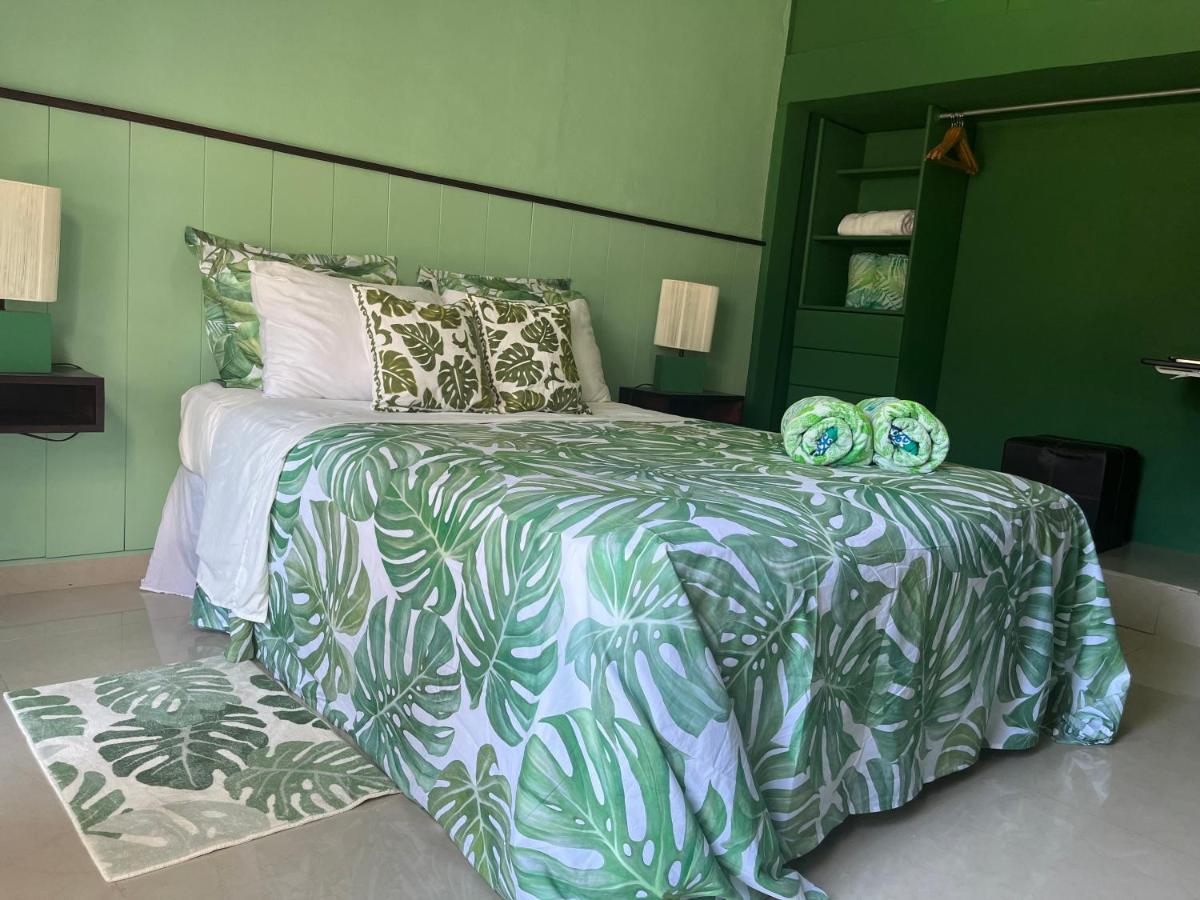 Dici Co-Living Housing Cabo San Lucas B&B 외부 사진