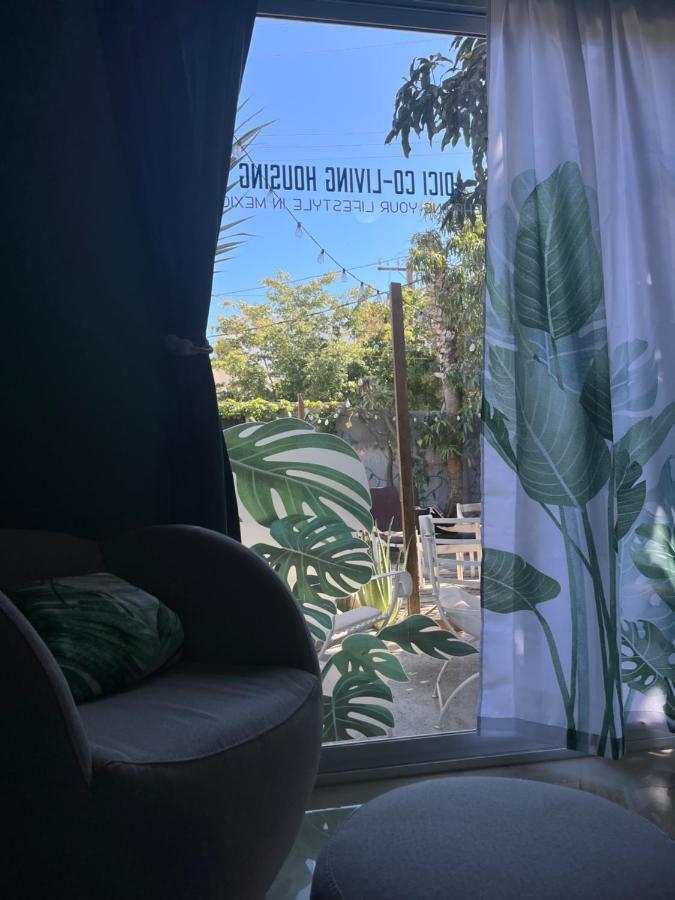 Dici Co-Living Housing Cabo San Lucas B&B 외부 사진