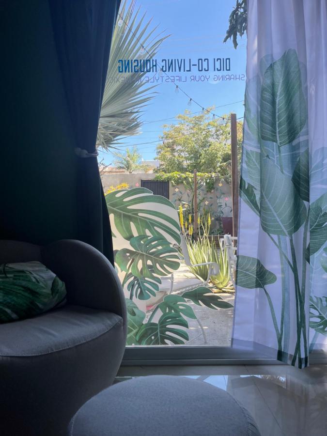 Dici Co-Living Housing Cabo San Lucas B&B 외부 사진